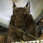 西村テスト